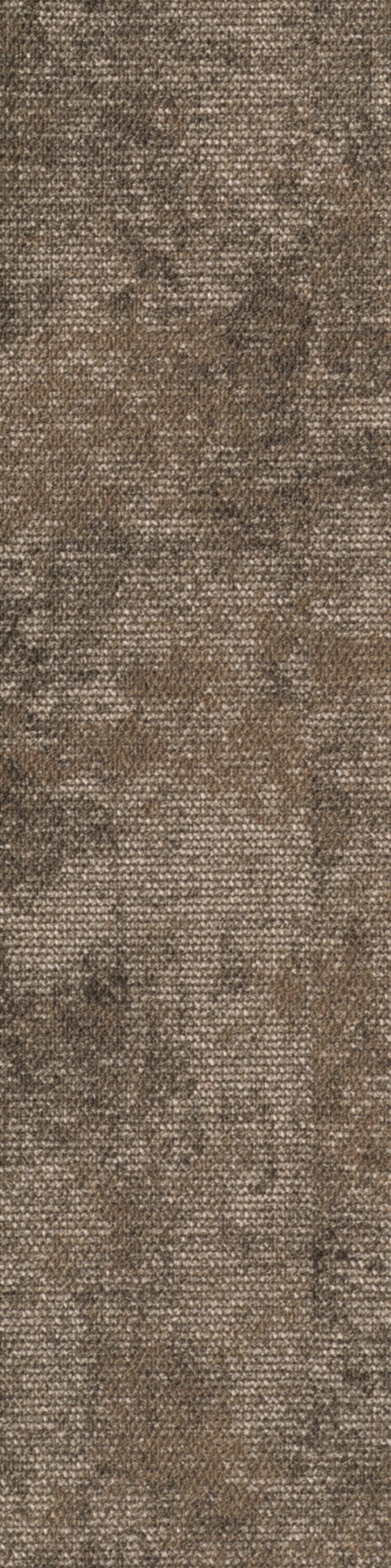 Terzia Planke 25 x 100 cm Farbe 770