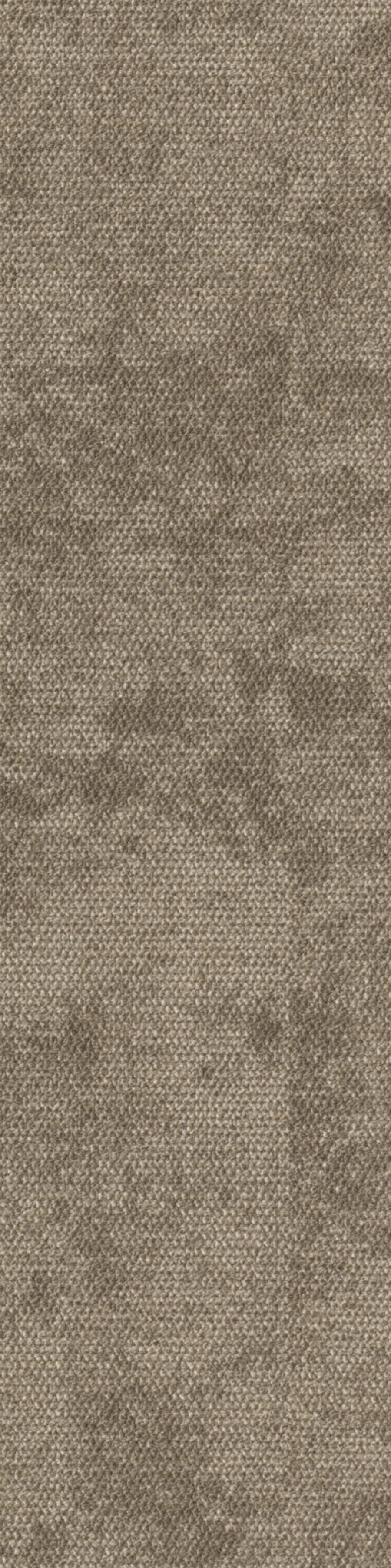 Terzia Planke 25 x 100 cm Farbe 730