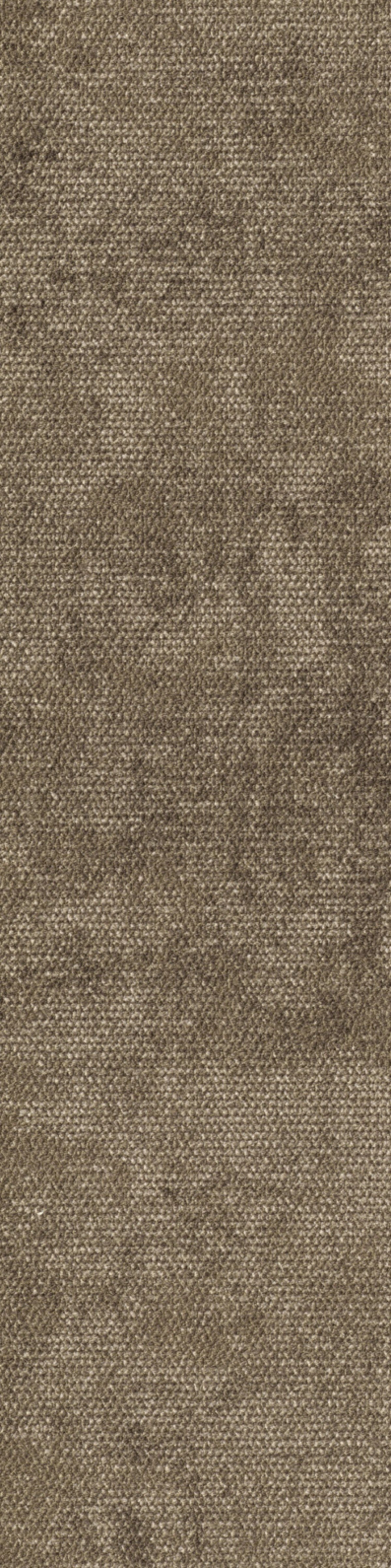 Terzia Planke 25 x 100 cm Farbe 485