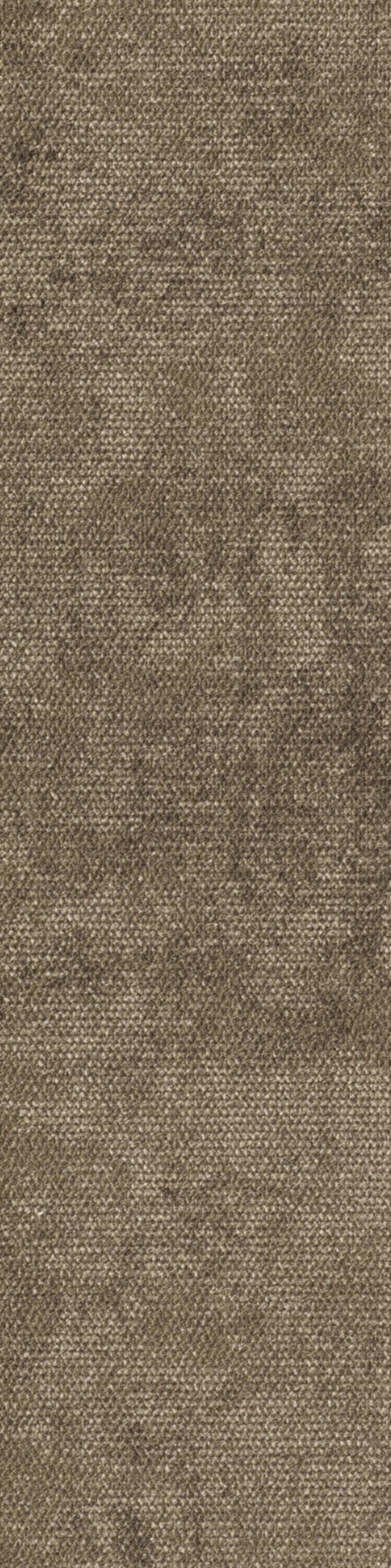 Terzia Planke 25 x 100 cm Farbe 485
