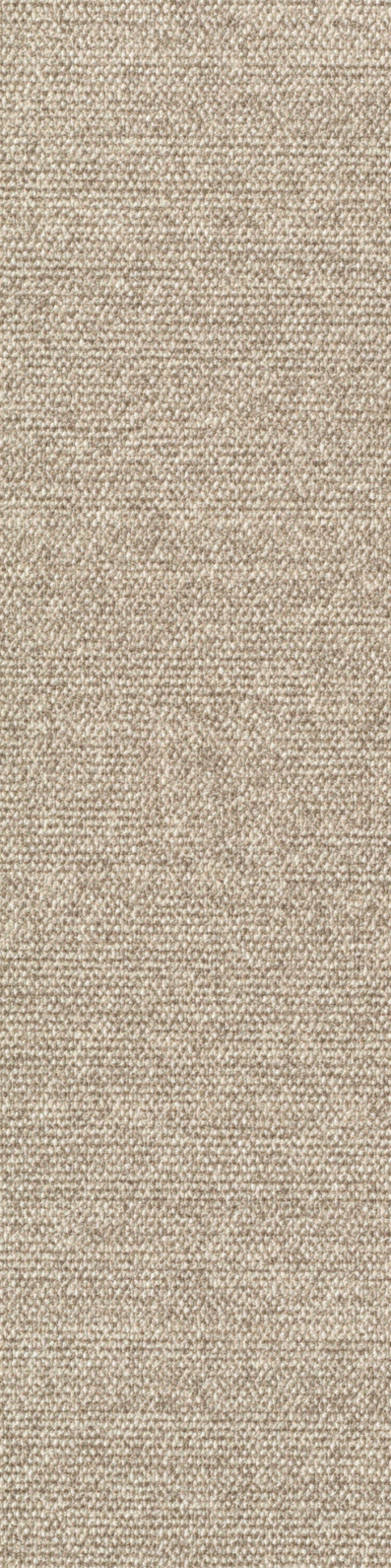 Sera Planke 25 x 100 cm Farbe 810