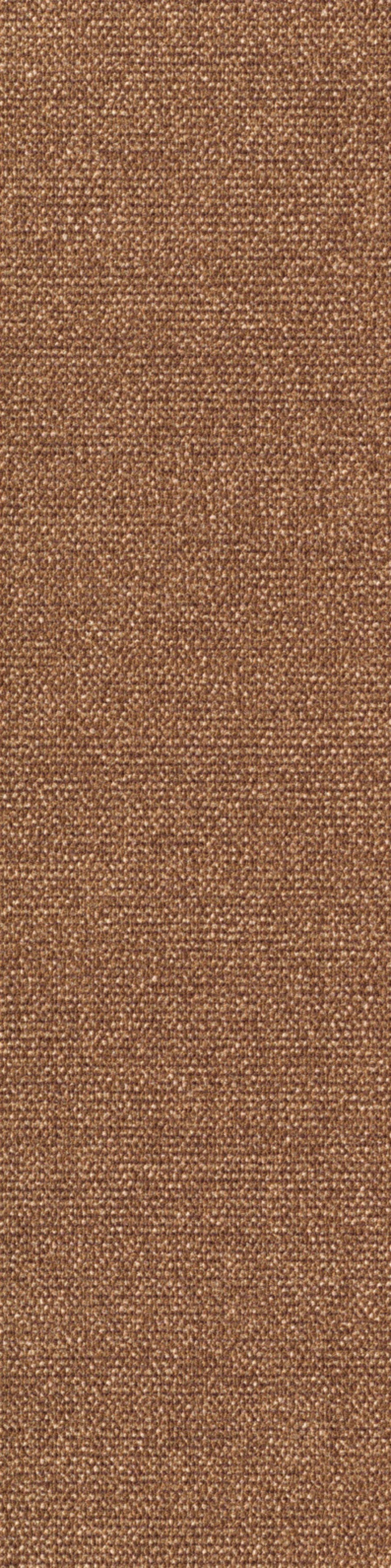 Sera Planke 25 x 100 cm Farbe 775