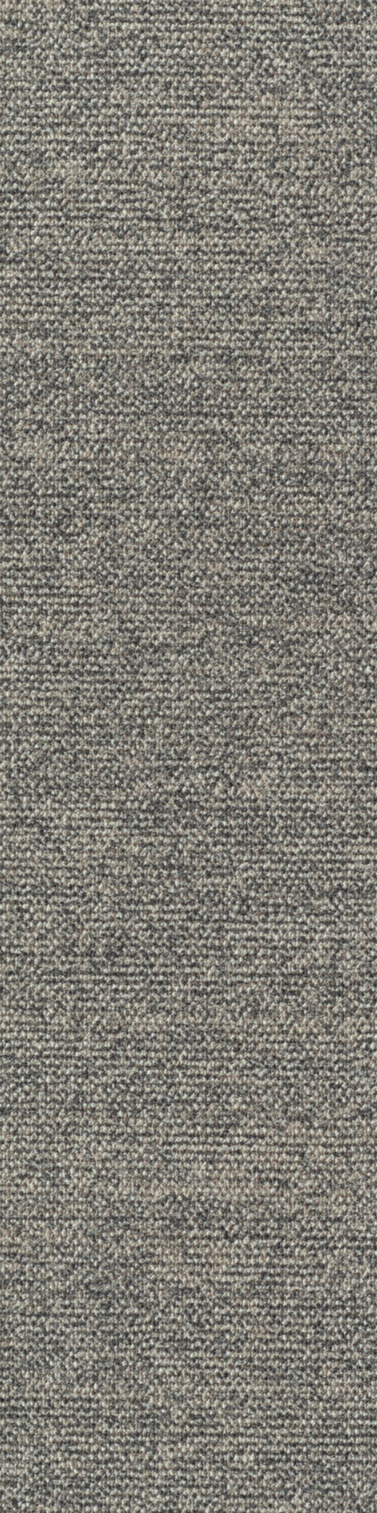 Sera Planke 25 x 100 cm Farbe 770