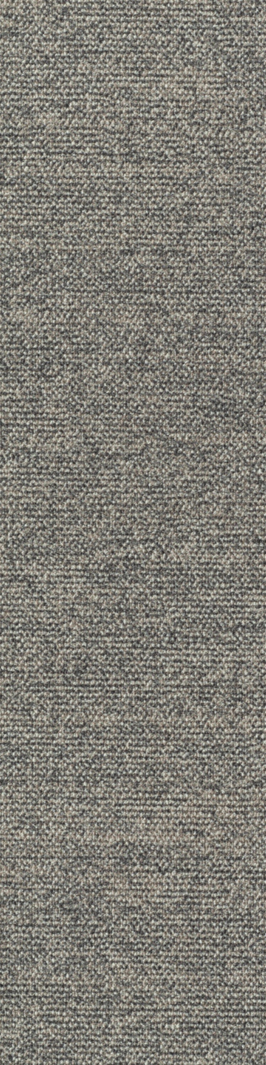 Sera Planke 25 x 100 cm Farbe 770