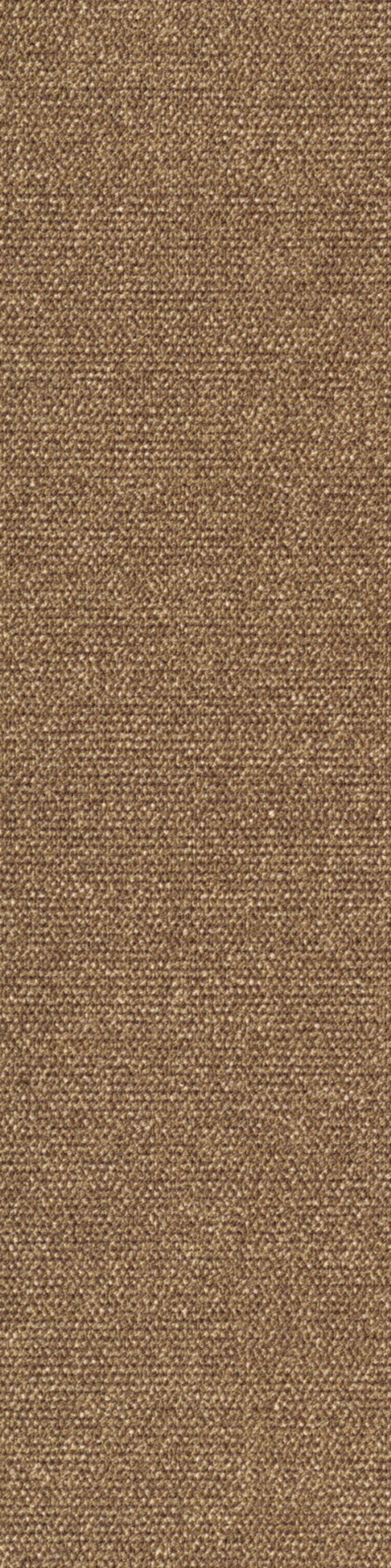 Sera Planke 25 x 100 cm Farbe 755