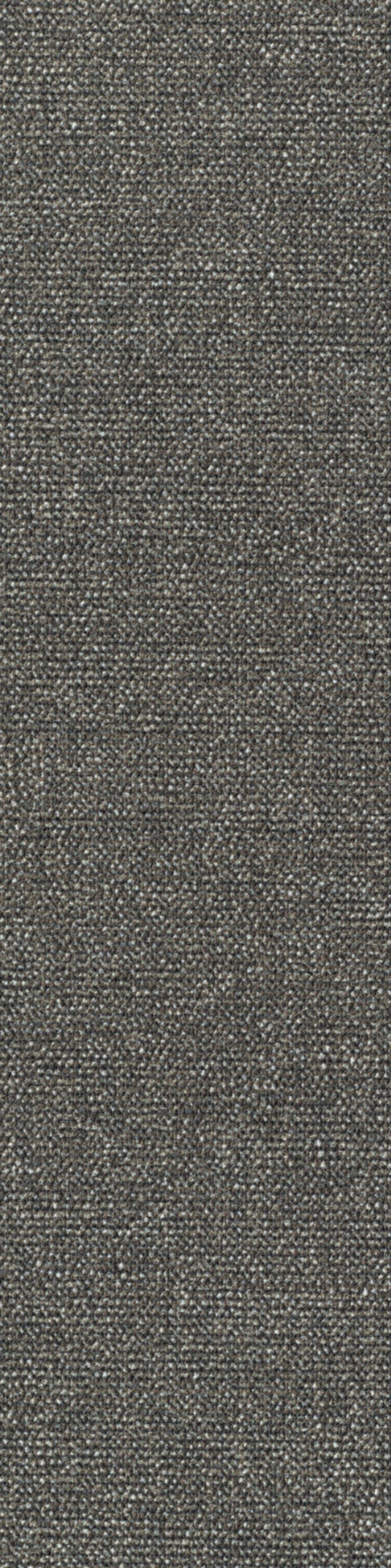 Sera Planke 25 x 100 cm Farbe 580