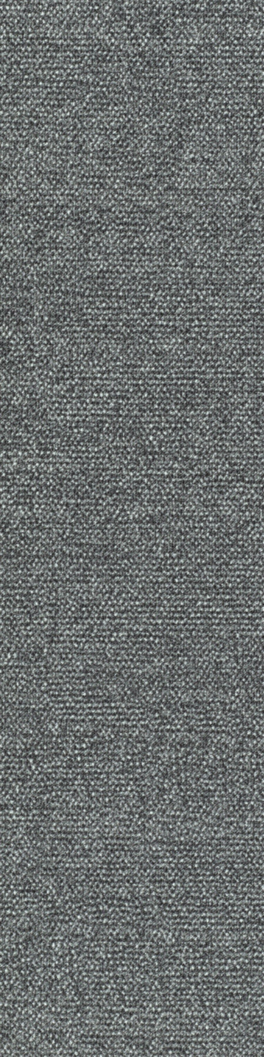 Sera Planke 25 x 100 cm Farbe 555