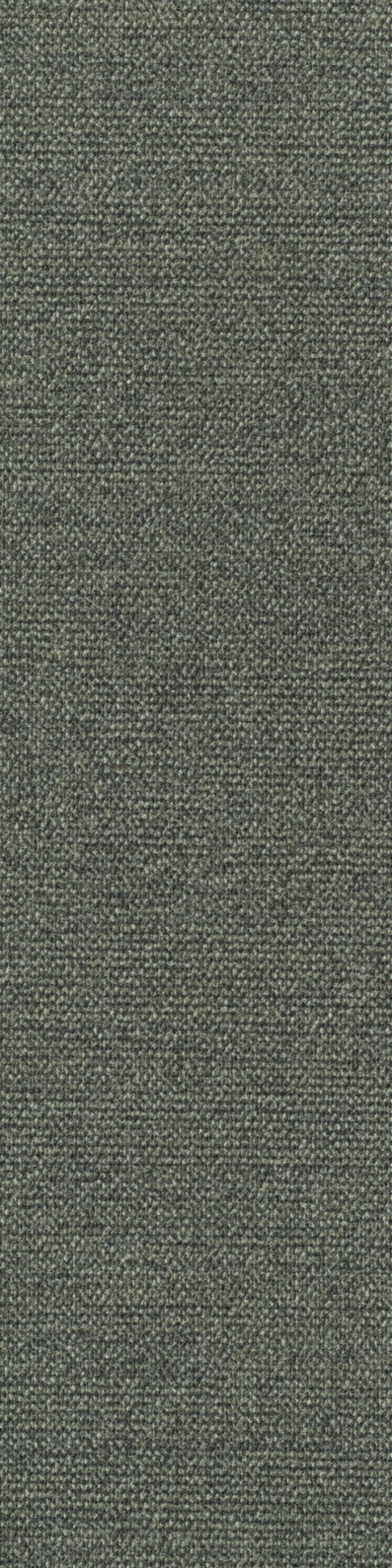 Sera Planke 25 x 100 cm Farbe 540