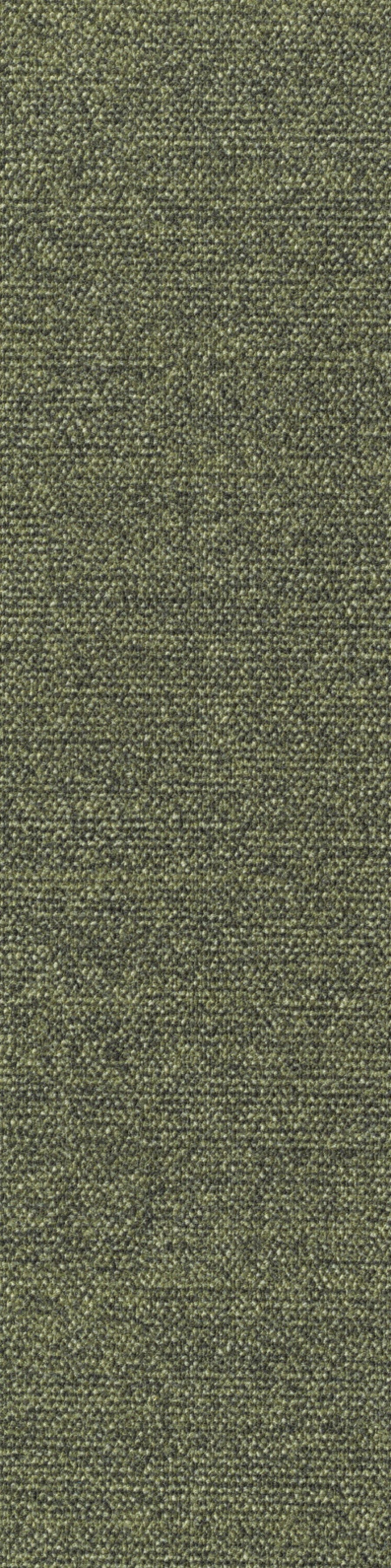 Sera Planke 25 x 100 cm Farbe 460