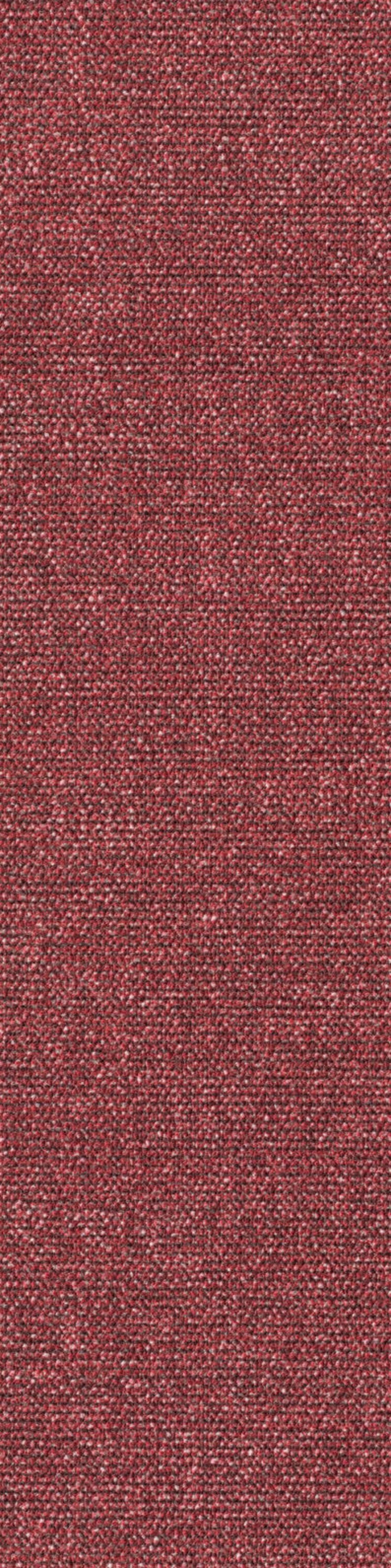 Sera Planke 25 x 100 cm Farbe 140