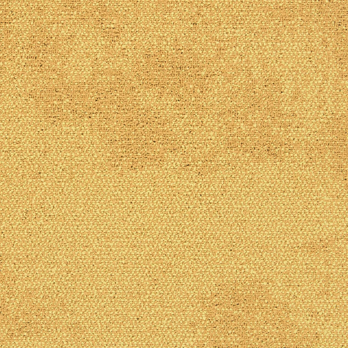 Recreation Fliese 50 x 50 cm Farbe 3015