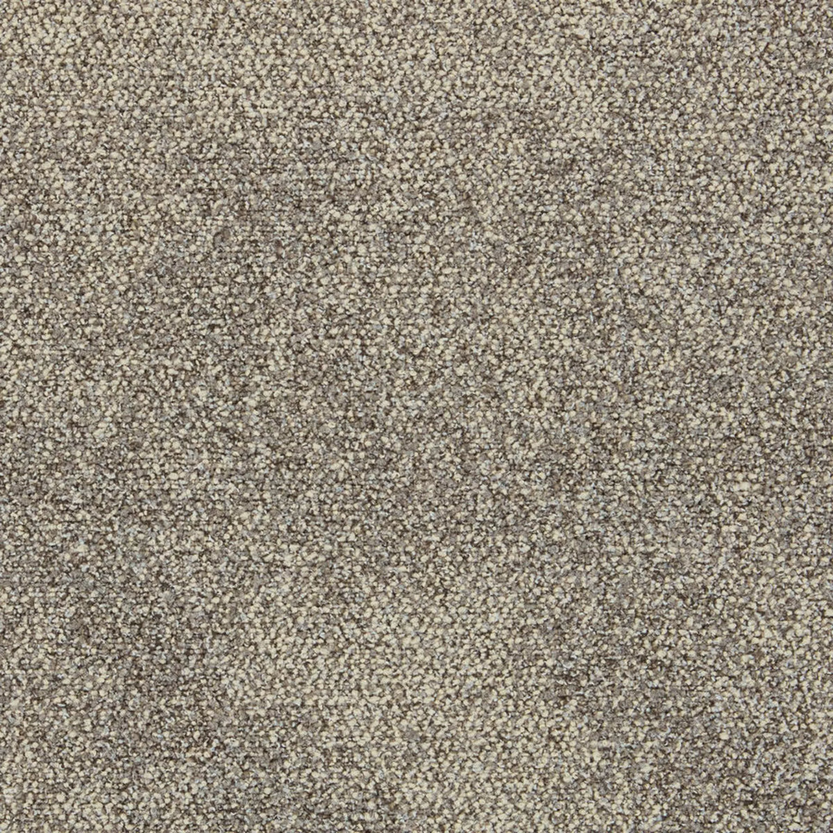Recreation Fliese 50 x 50 cm Farbe 3008
