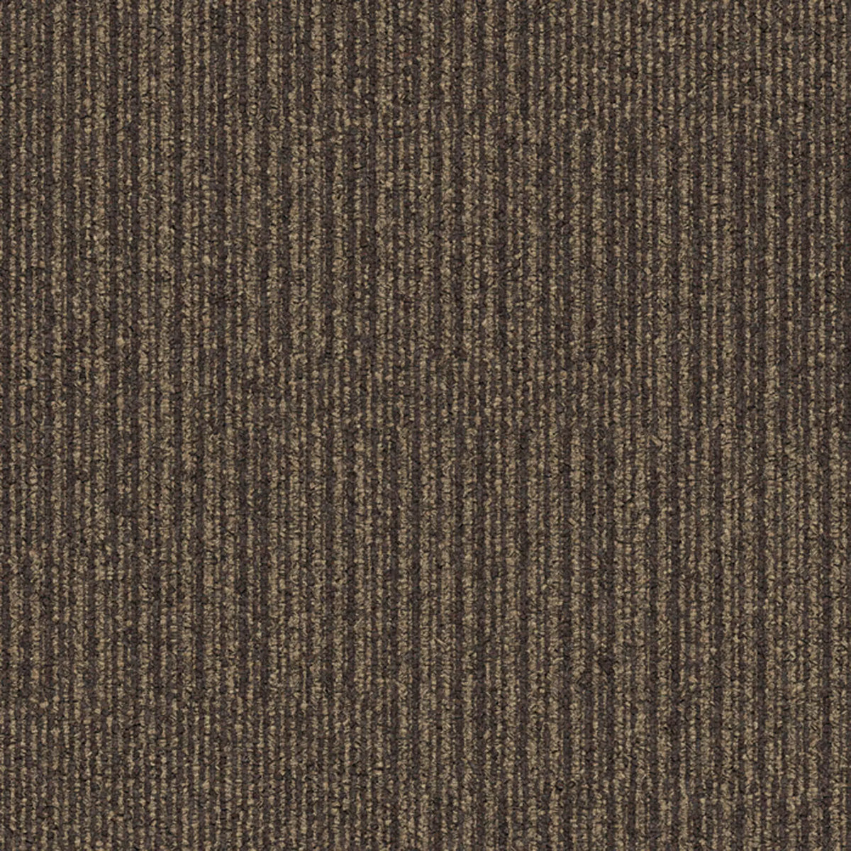 Equilibrium Fliese 50 x 50 cm Farbe 1129