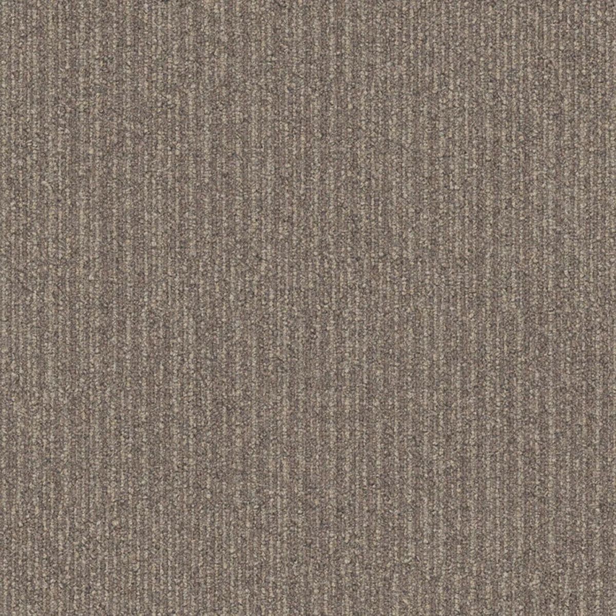 Equilibrium Fliese 50 x 50 cm Farbe 1118