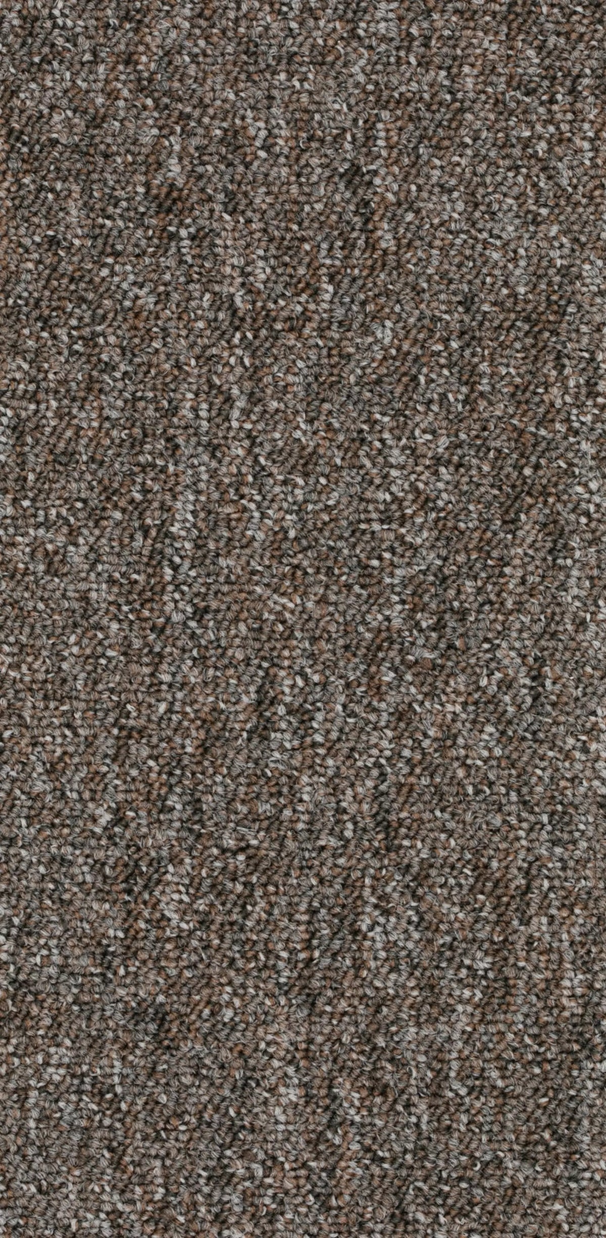 Rapid Farbe 529