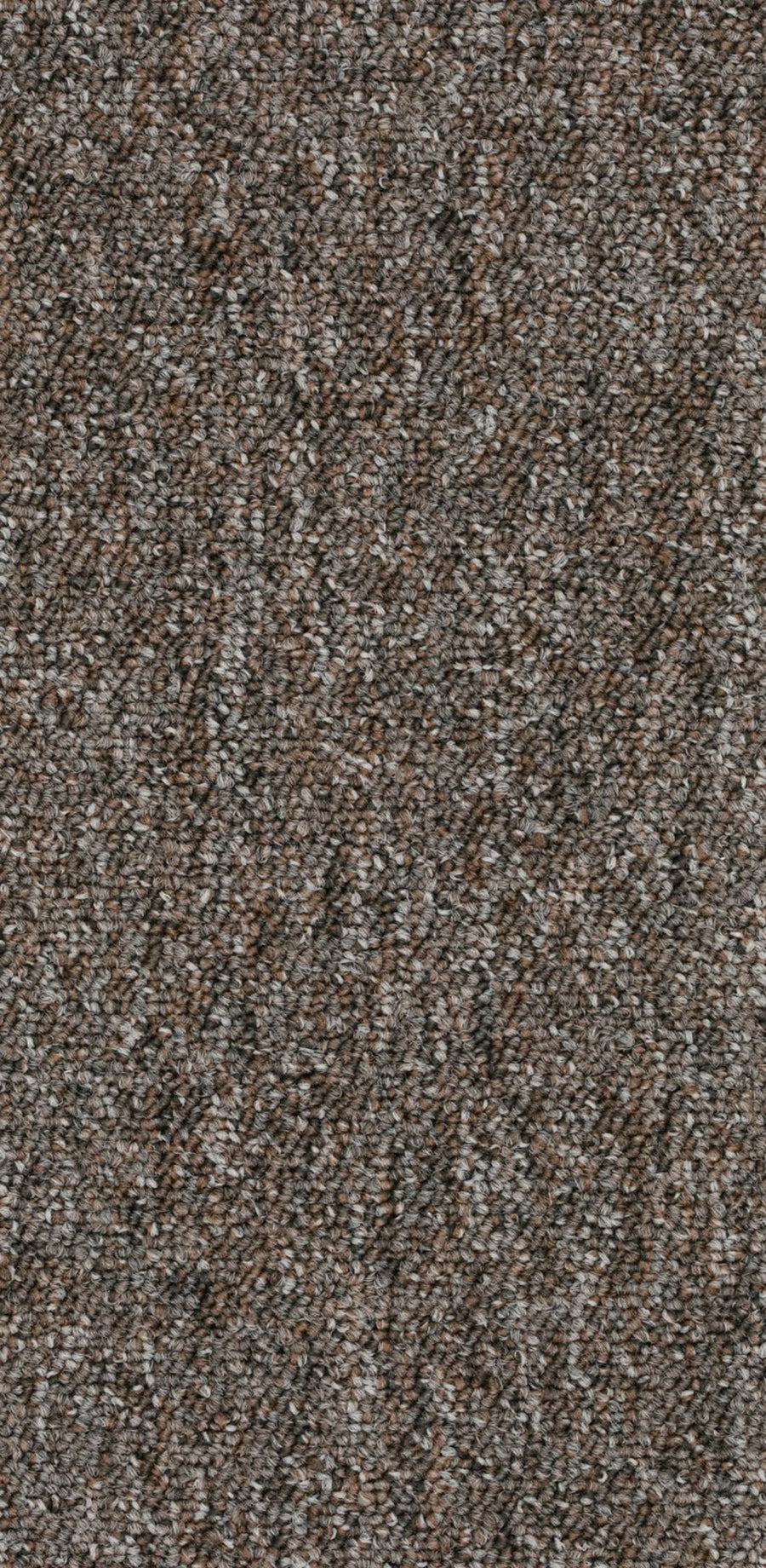 Rapid Farbe 529