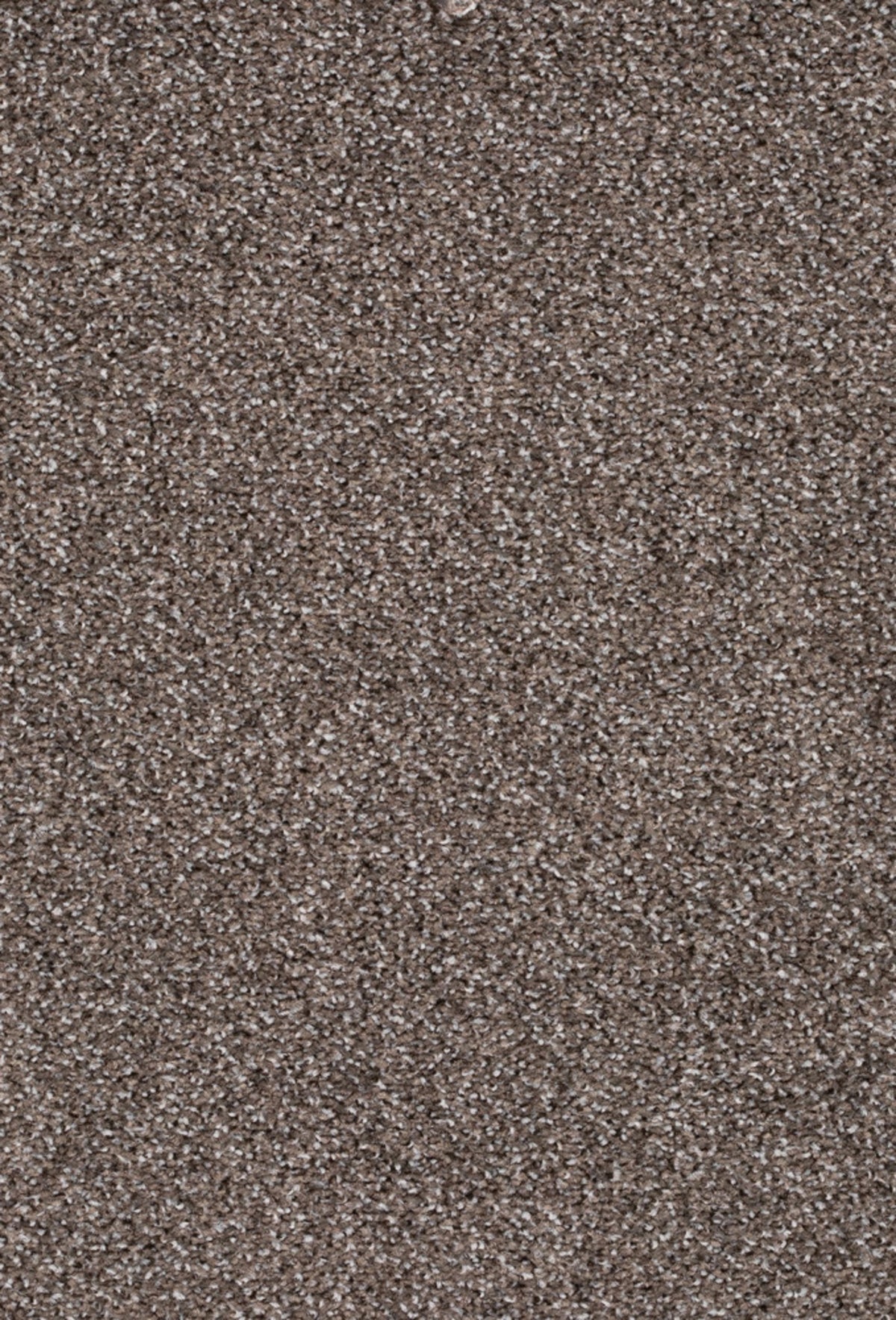 Fair Farbe 861