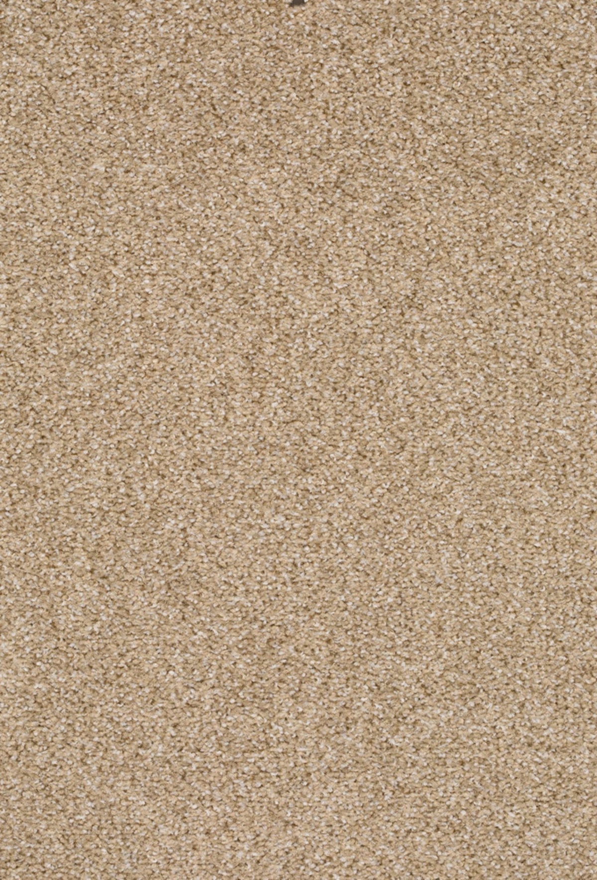 Fair Farbe 850