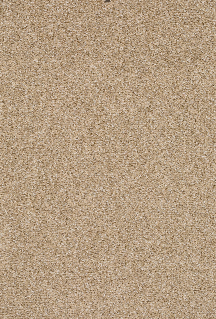 Fair Farbe 850