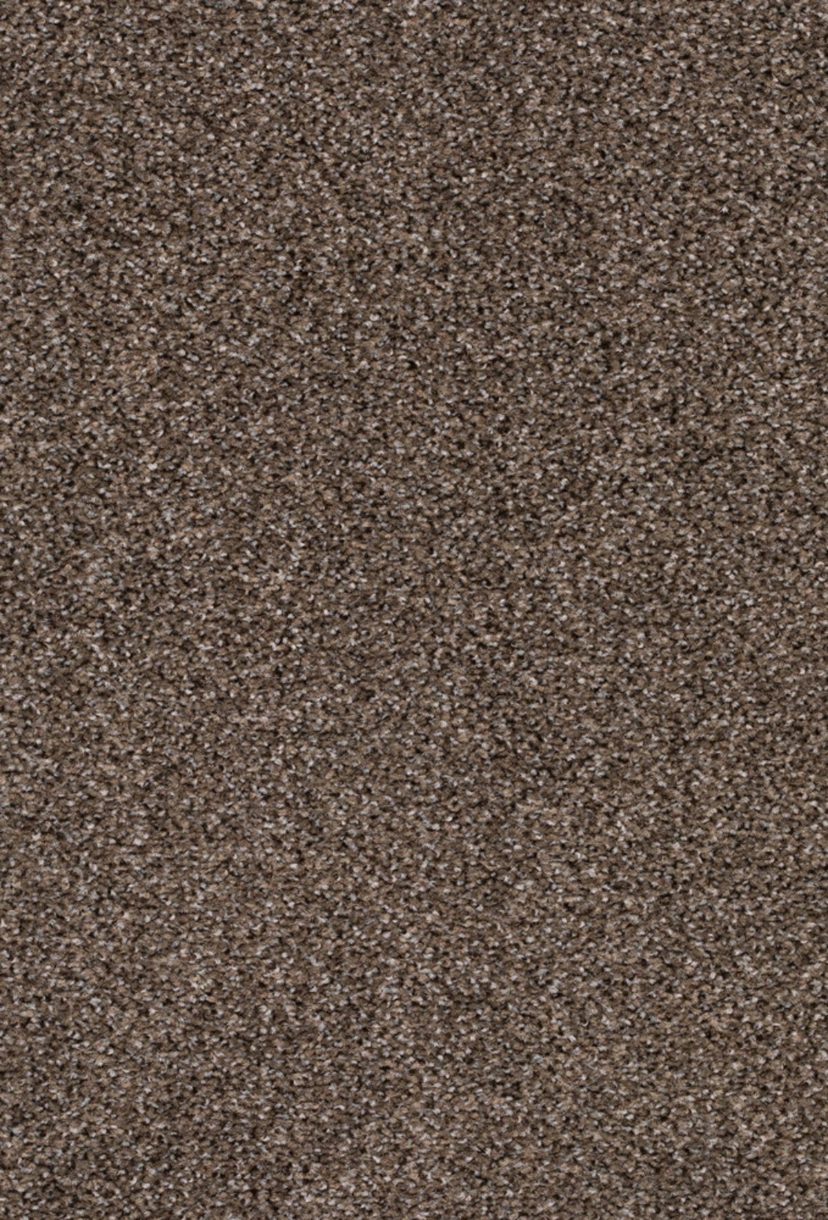 Fair Farbe 710