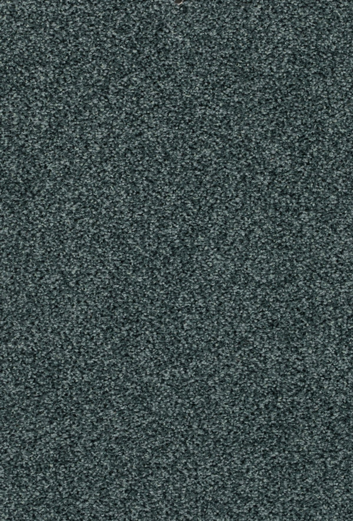 Fair Farbe 461