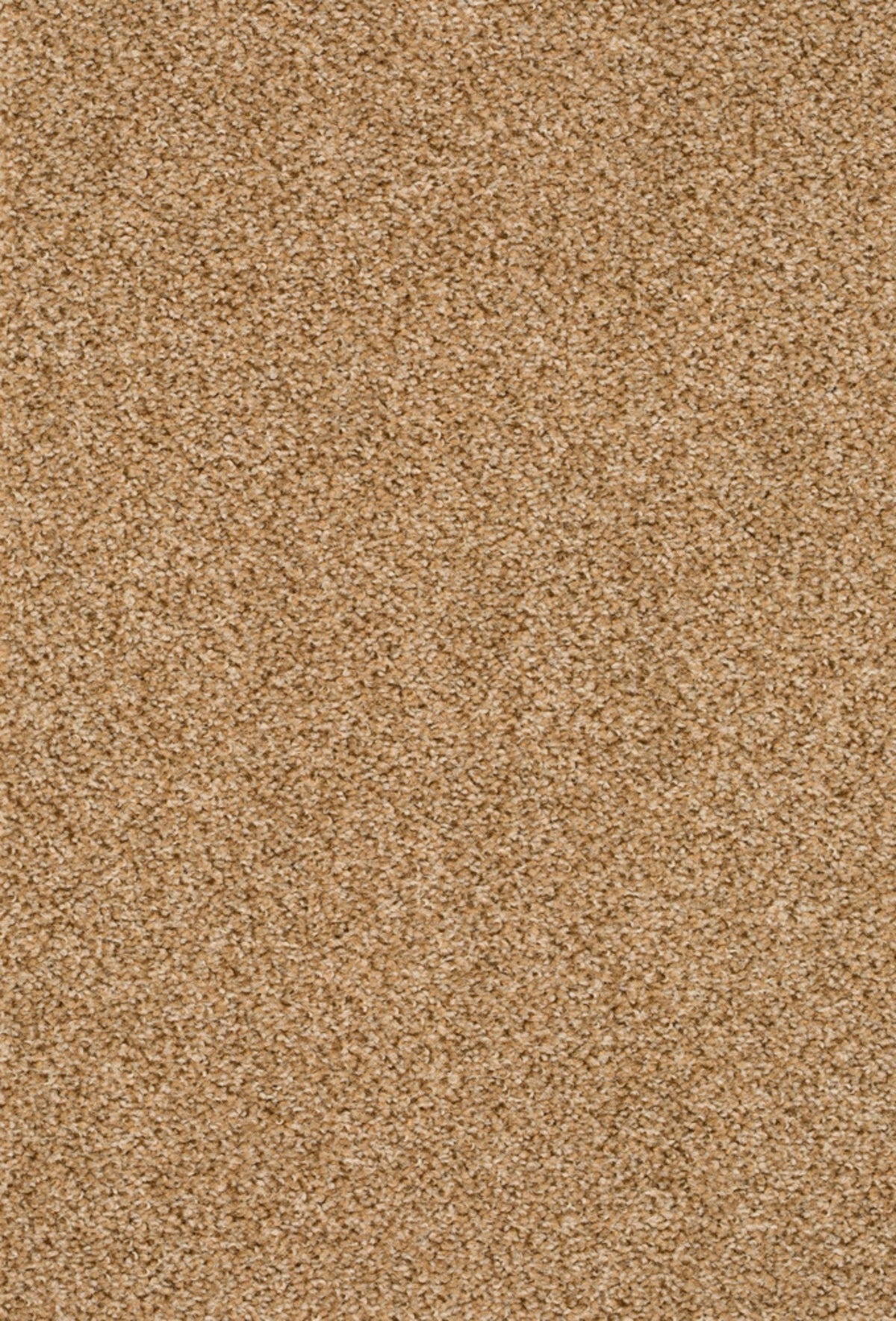 Fair Farbe 231