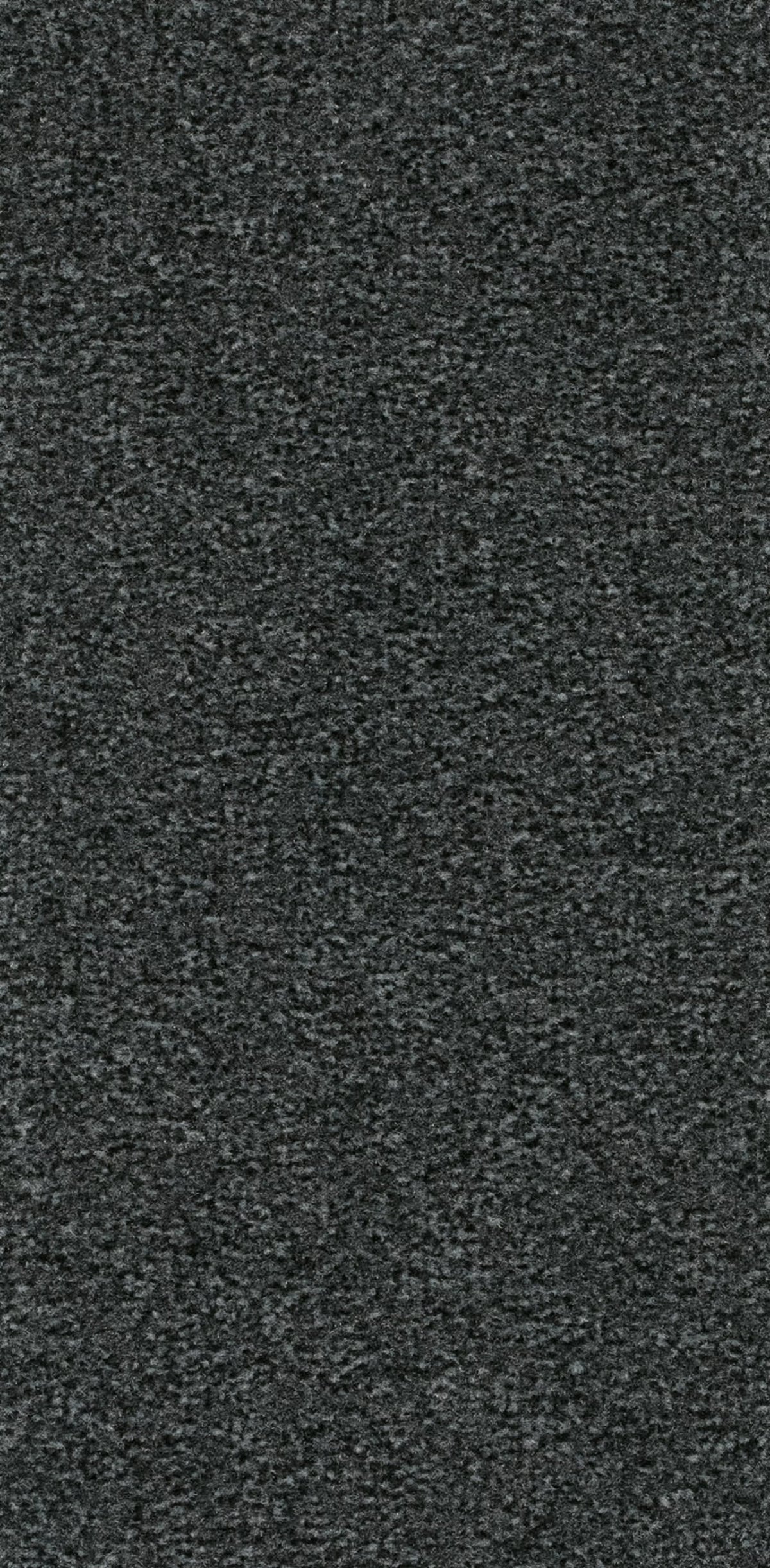 Cosy Farbe 77
