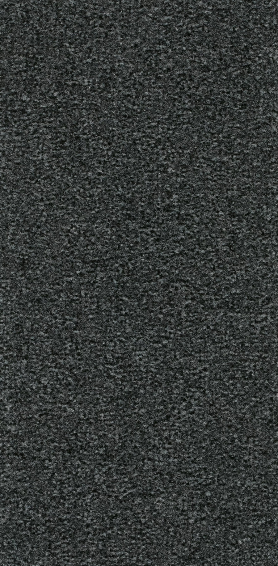 Cosy Farbe 77