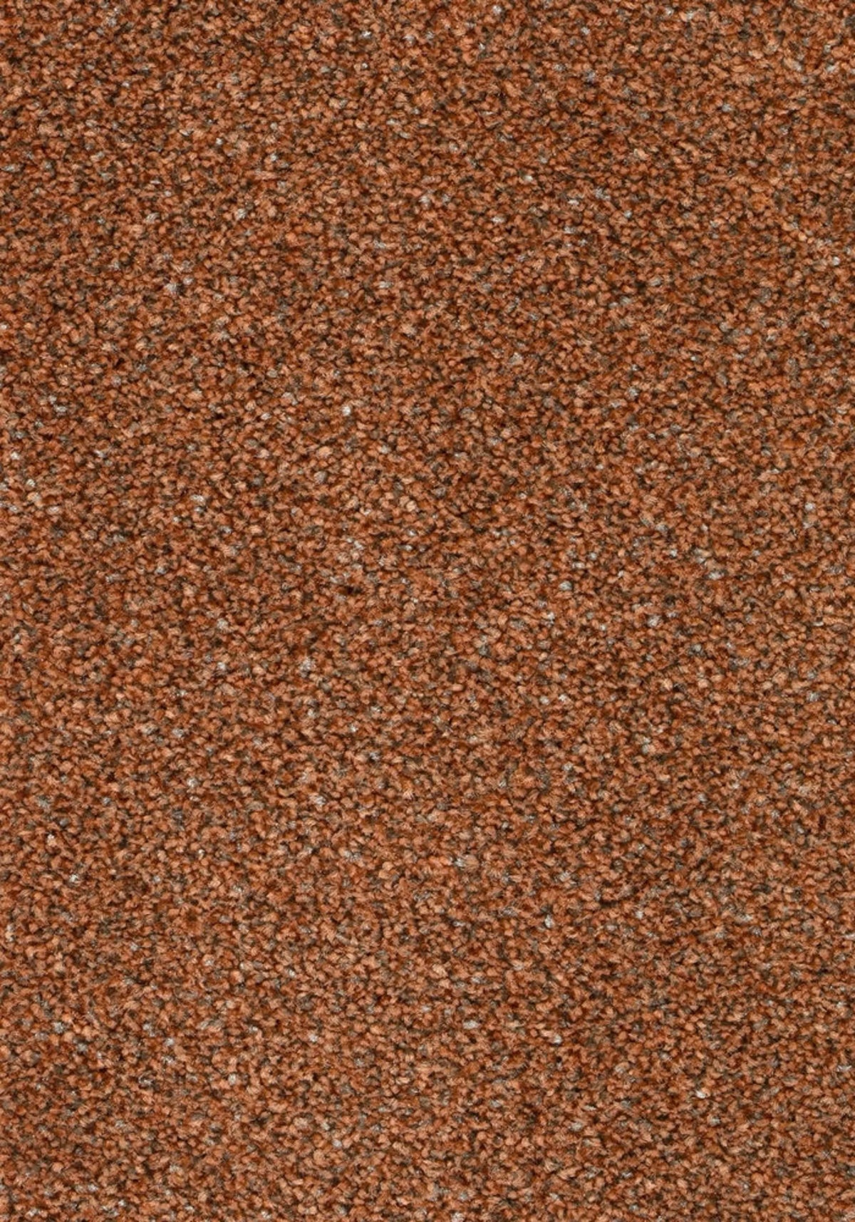 Anden Farbe 310