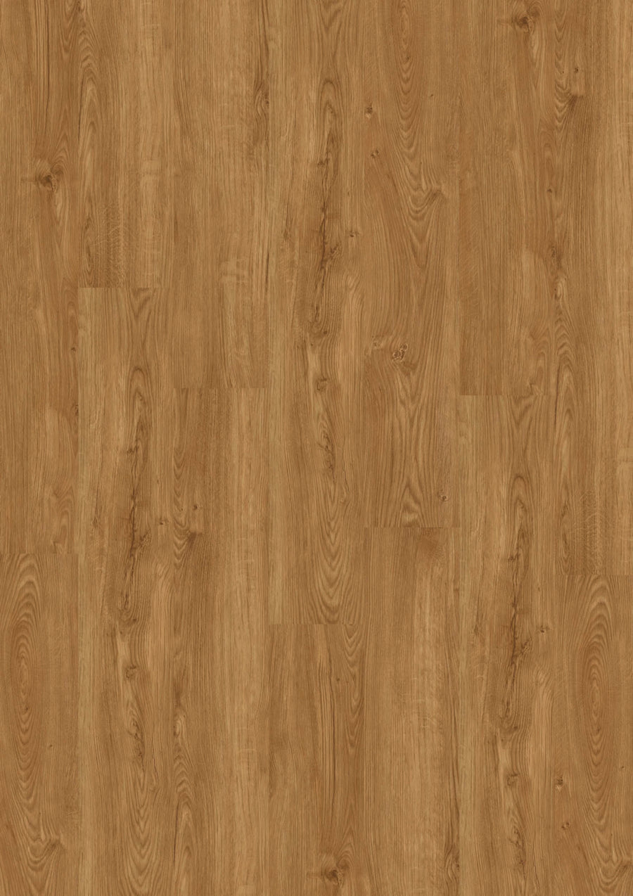 Design 555 5524 Honey Oak