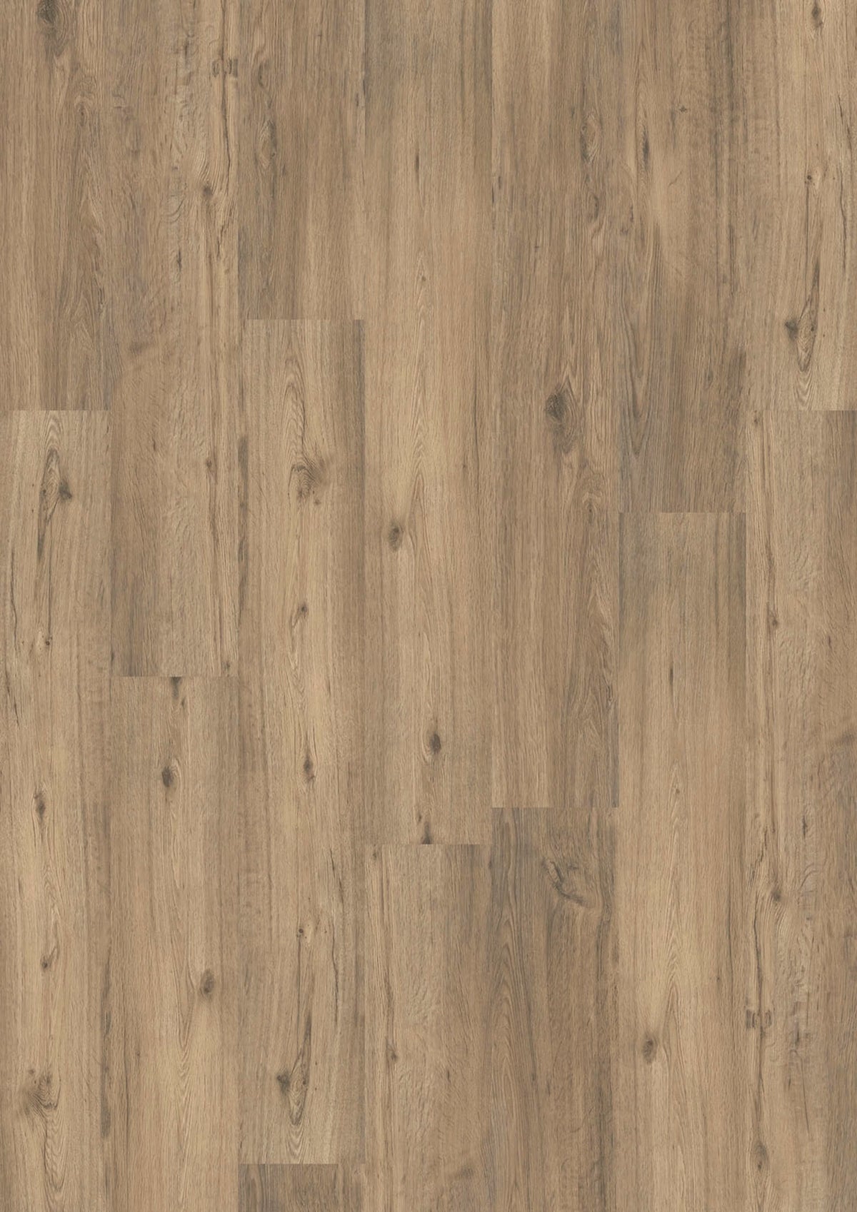 Design 555 5509 Spring Oak EIR