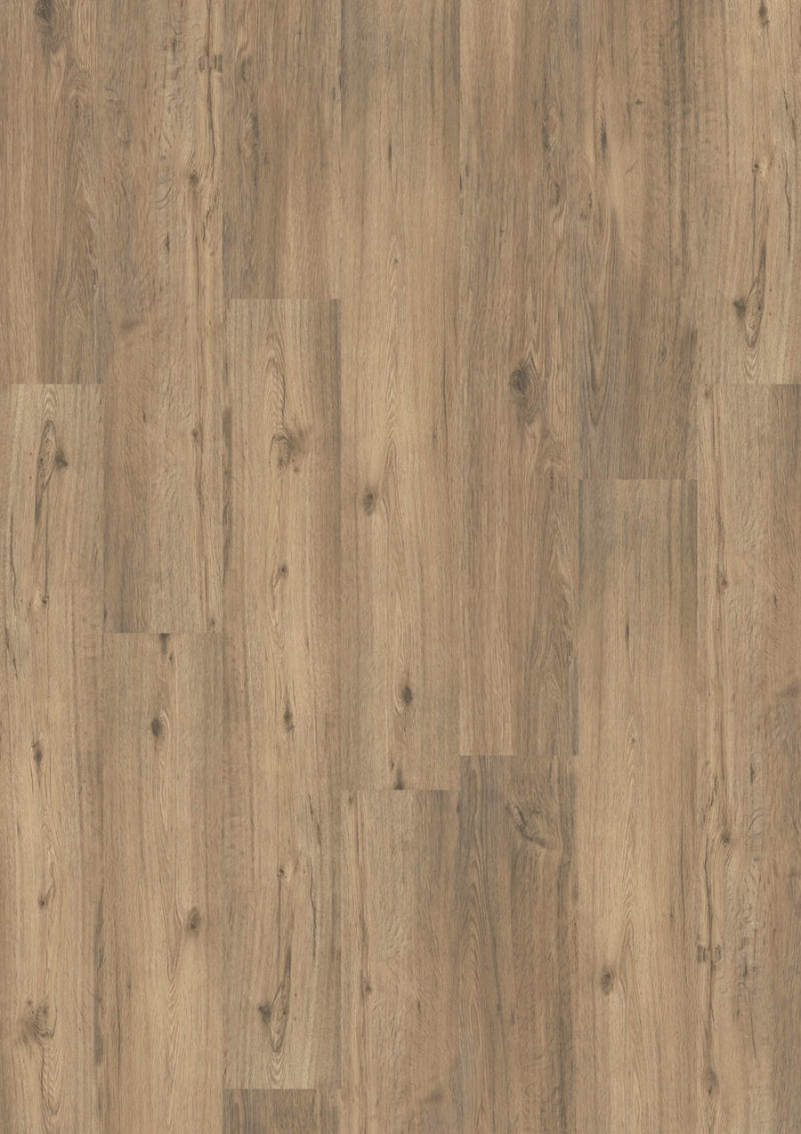 Design 555 5509 Spring Oak EIR