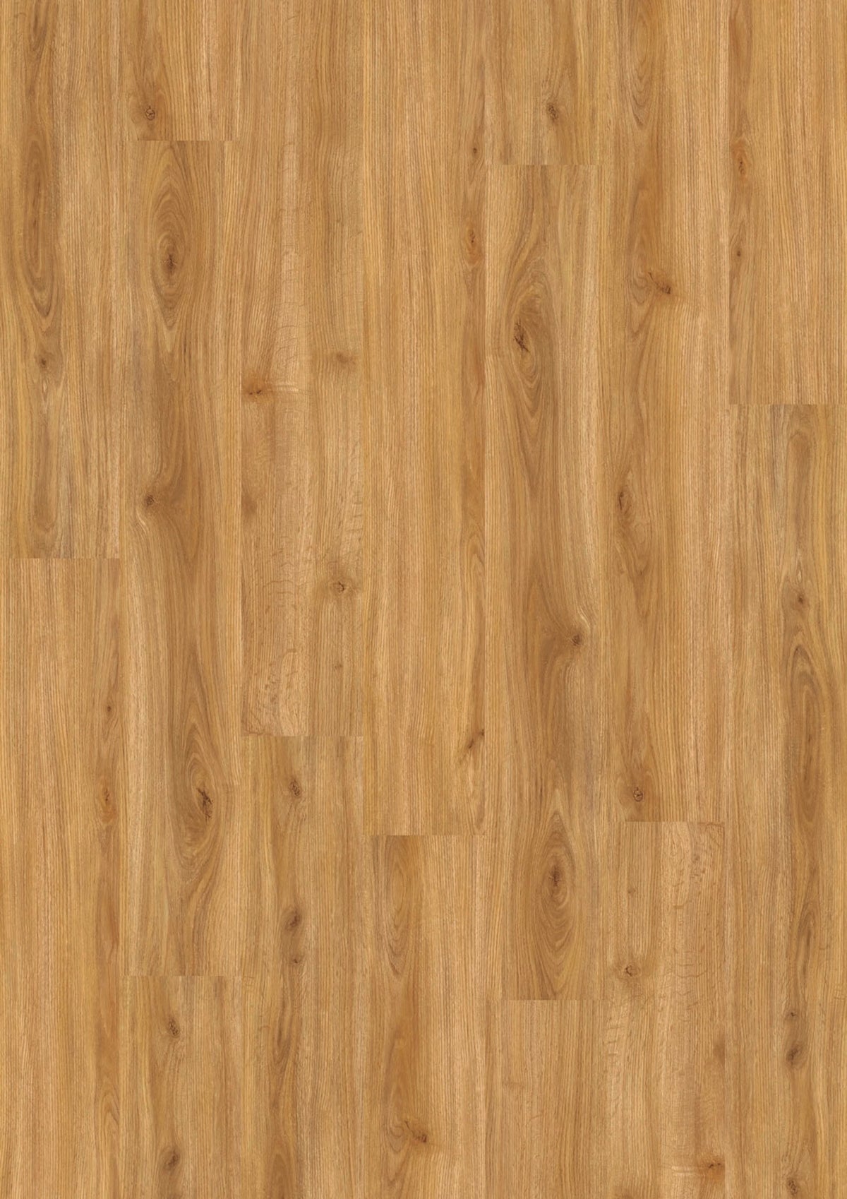 Design 555 412 Cozy Oak EIR