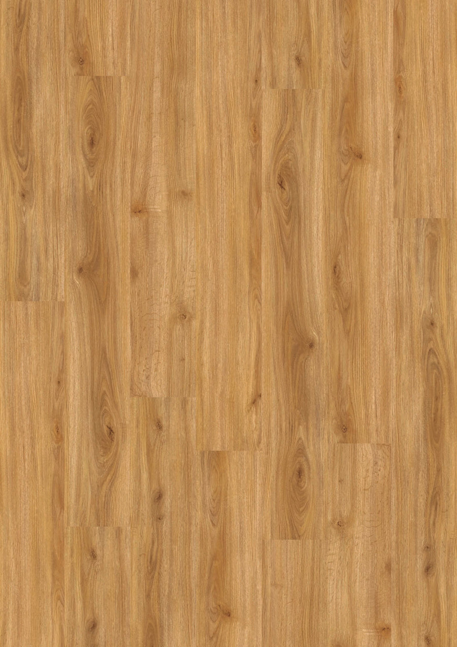 Design 555 5412 Cozy Oak EIR