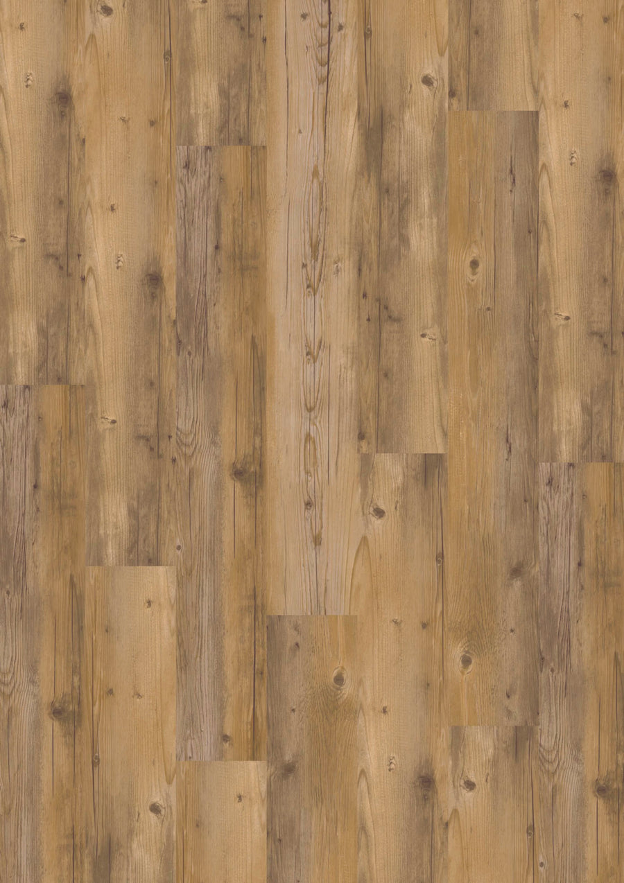 Design 555 407 Blond Pine EIR