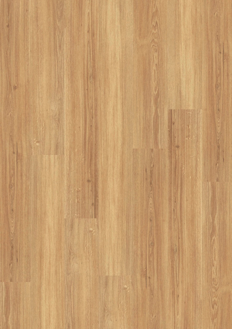 Design 555 207 Incredible Light Oak EIR