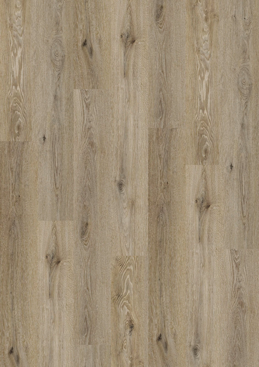 Design 555 5541 Smoky Oak EIR