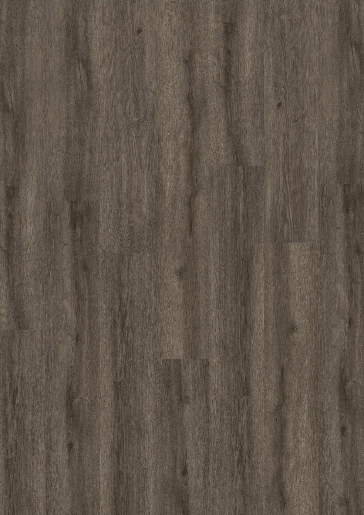 Design 555 5309 Weathered Grey Oak
