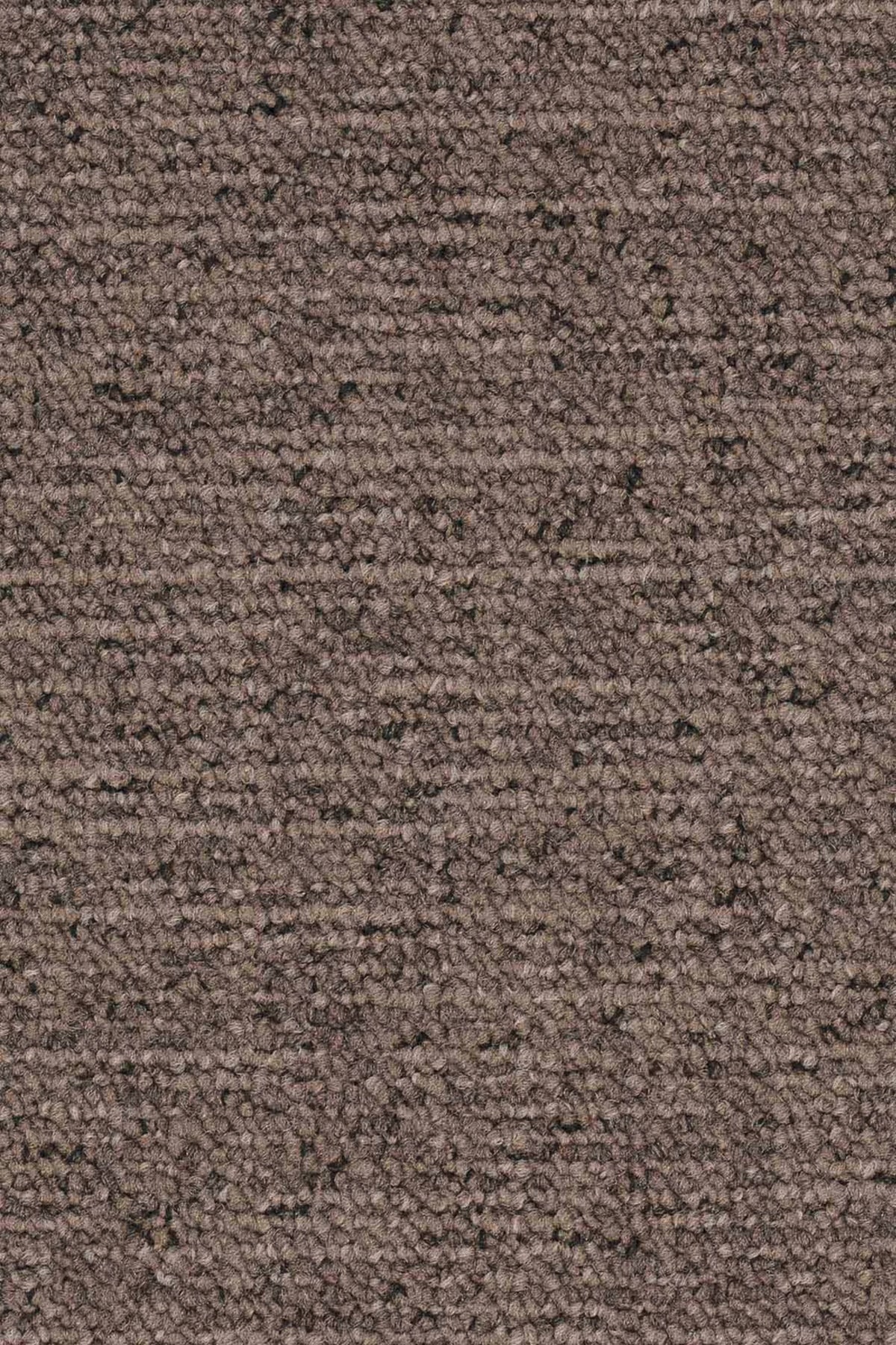 Silas Fliese 50 x 50 cm Farbe 820