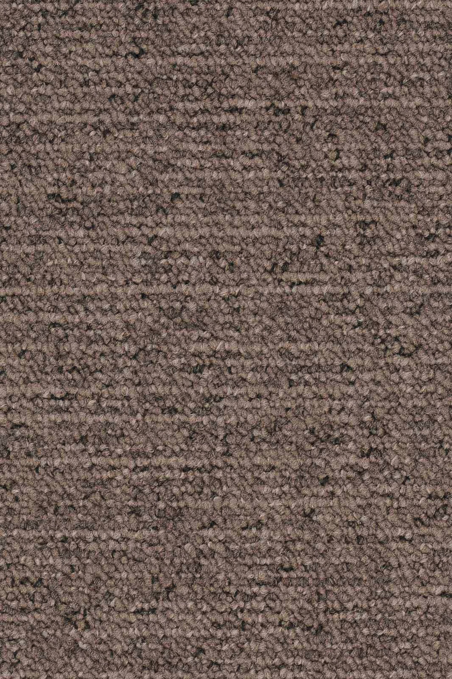 Silas Fliese 50 x 50 cm Farbe 820