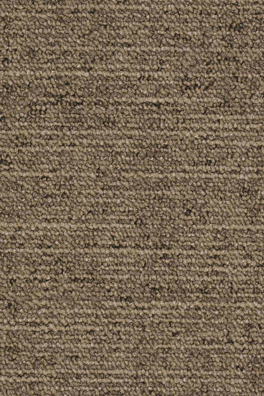 Silas Fliese 50 x 50 cm Farbe 815