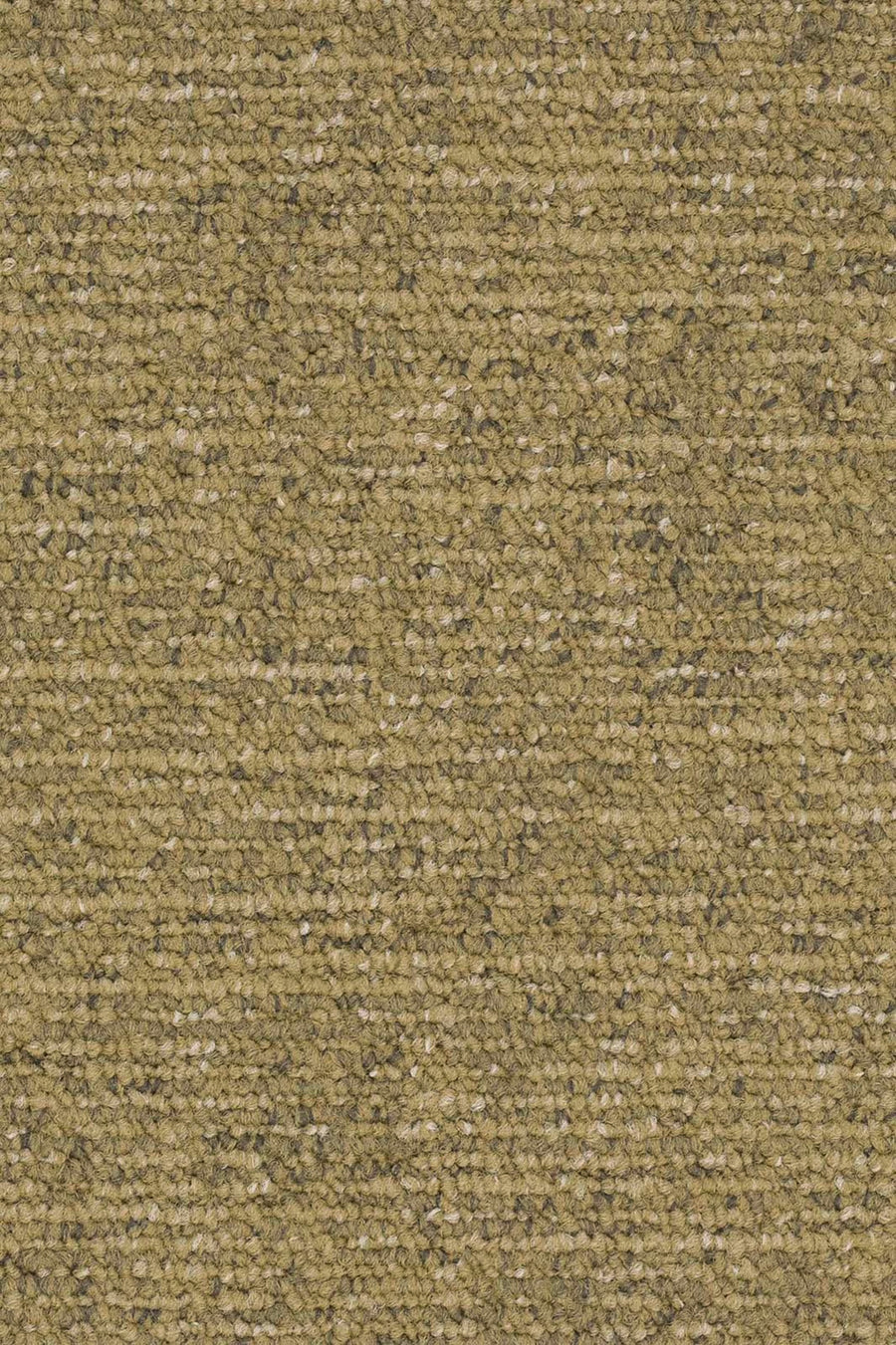 Silas Fliese 50 x 50 cm Farbe 230