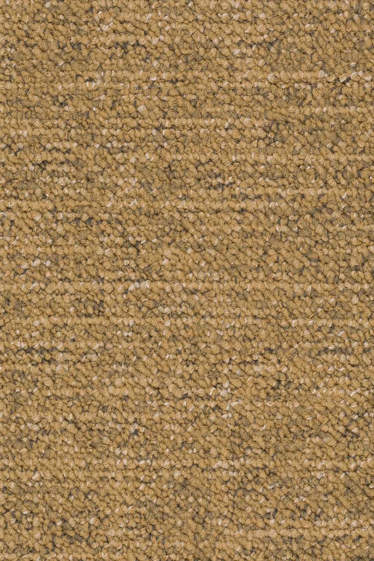 Silas Fliese 50 x 50 cm Farbe 225