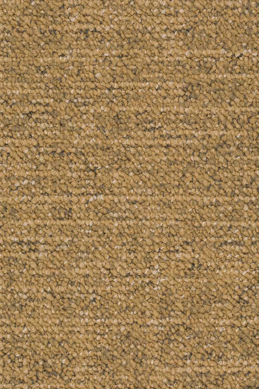 Silas Fliese 50 x 50 cm Farbe 225