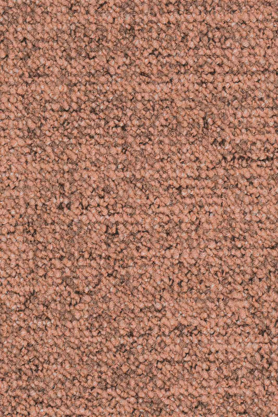 Silas Fliese 50 x 50 cm Farbe 220