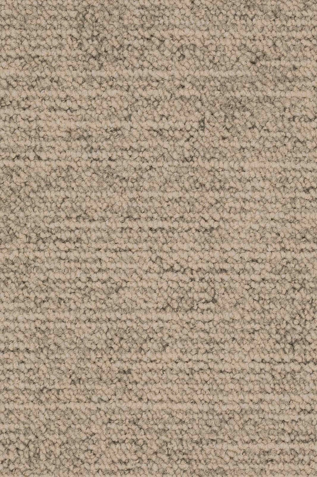 Silas Fliese 50 x 50 cm Farbe 145