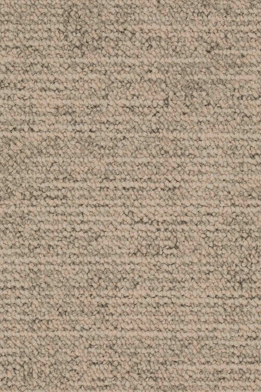 Silas Fliese 50 x 50 cm Farbe 145
