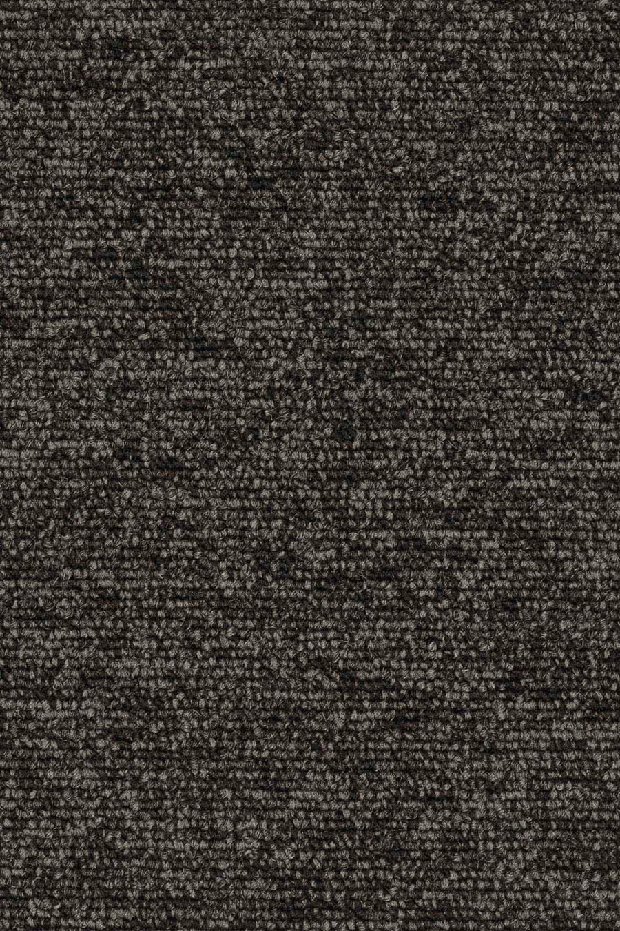 Rambo Fliese 50 x 50 cm Farbe 995