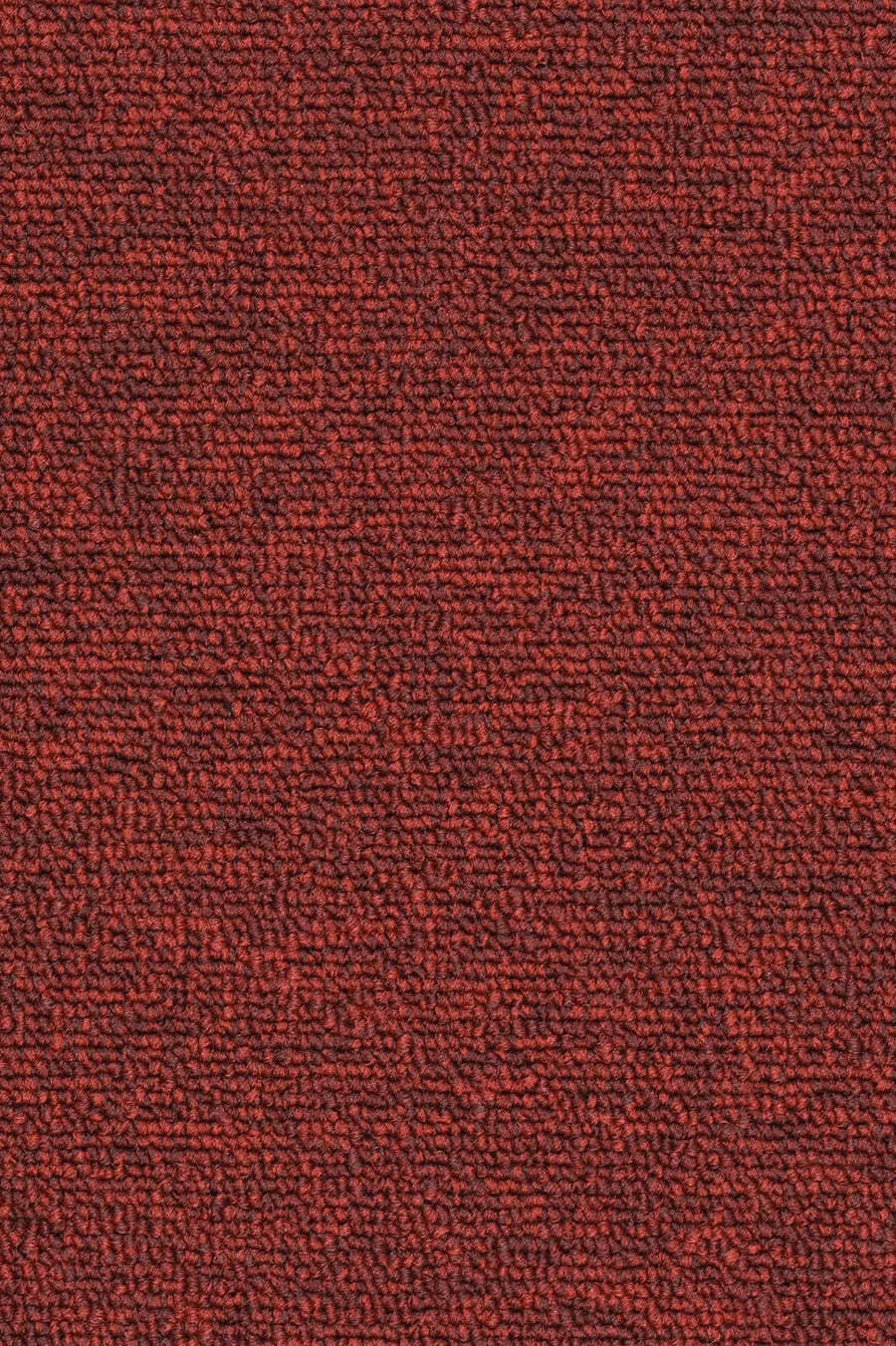 Rambo Fliese 50 x 50 cm Farbe 329