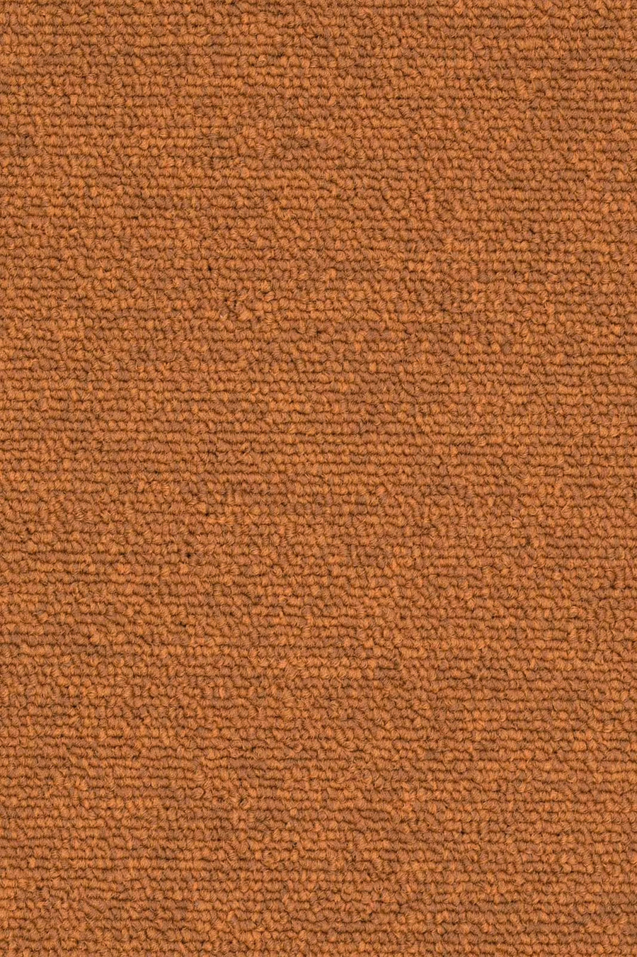 Rambo Fliese 50 x 50 cm Farbe 322